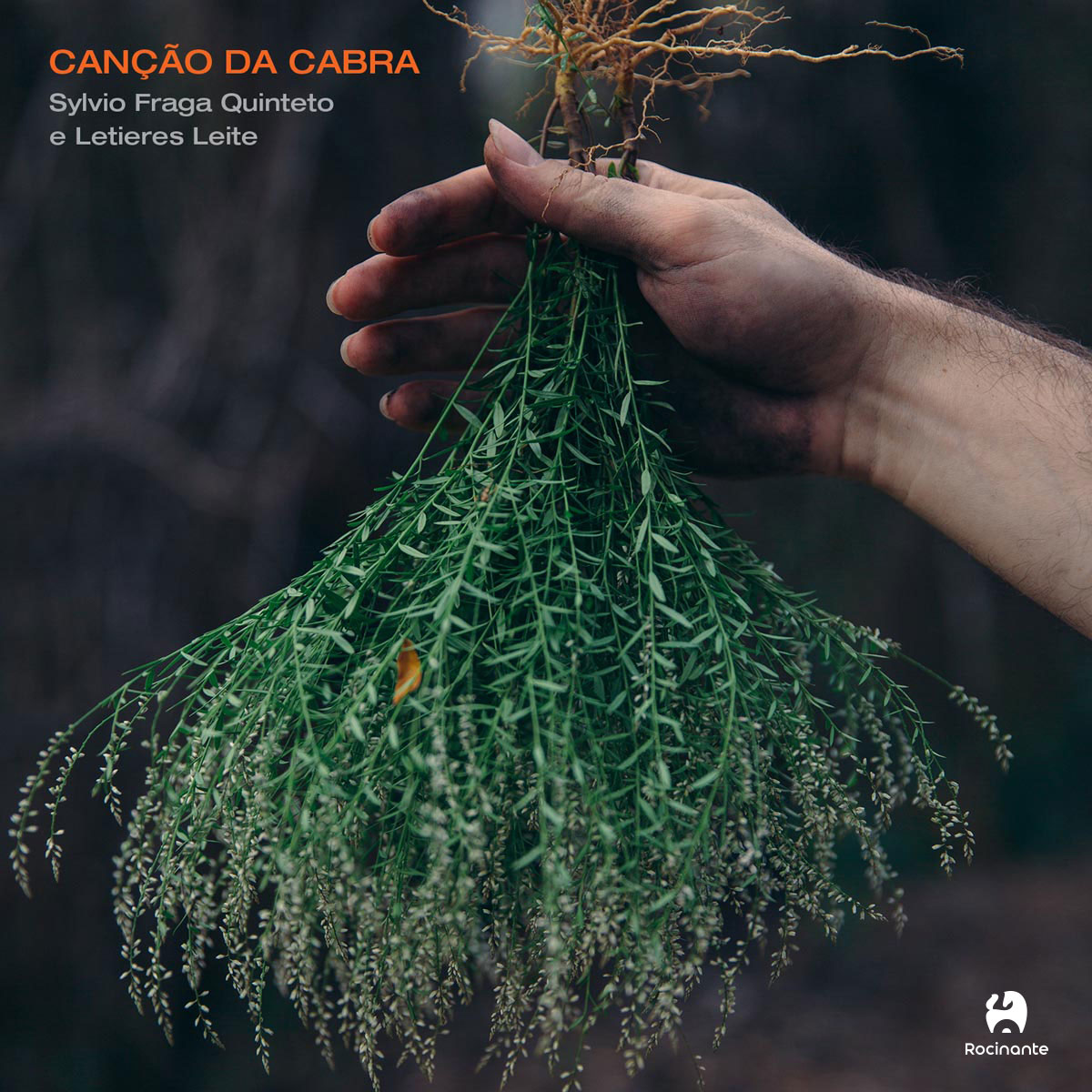 Capa do disco Canção da cabra